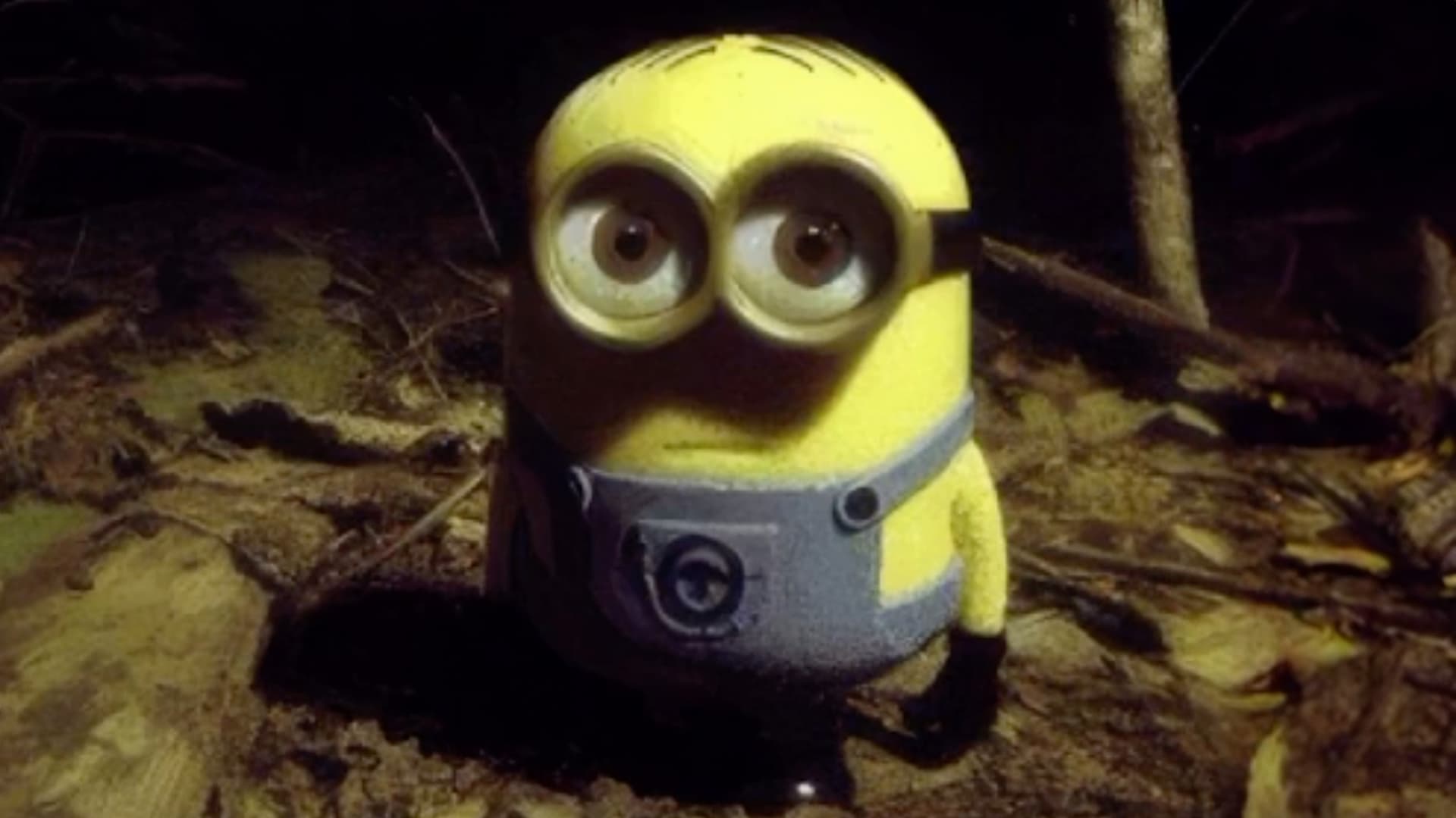 Minion Staring in the Forest meme template - Minion Staring in the Forest