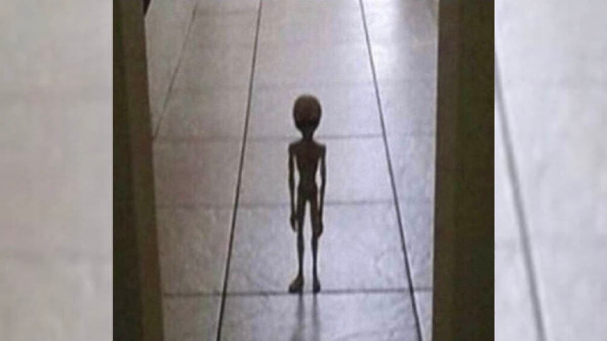 Mom, I Threw Up meme template - Mom I Threw Up Template