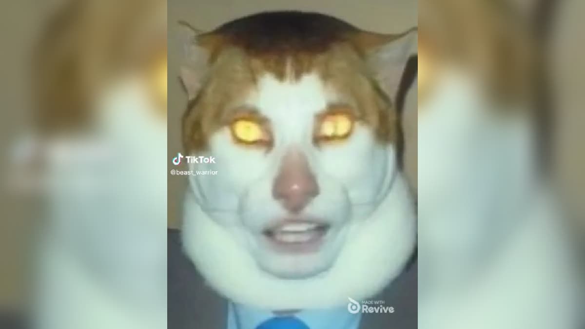 Monday Left Me Broken Cat / Mr. Peebles / Singing Yellow-Eyed Cat meme template - Monday Left Me Broken Cat