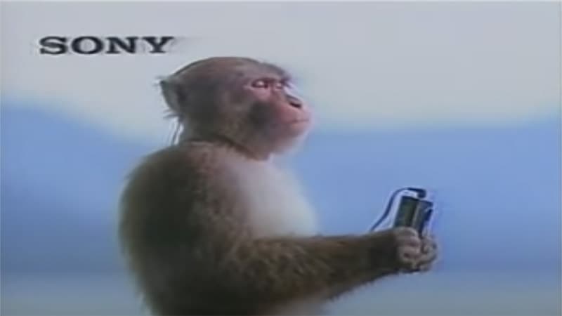 Monkey Sony Walkman meme template - Monkey Sony Walkman