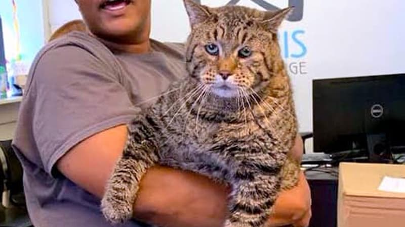 Mr. B meme template - Mr. B