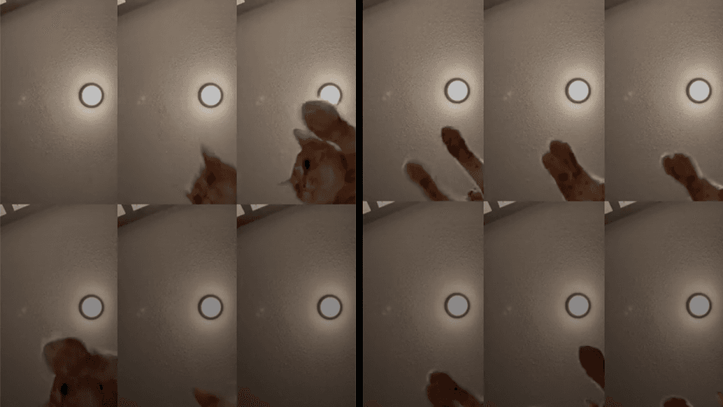 Mr. Sandman Cat meme template - Mr. Sandman Cat