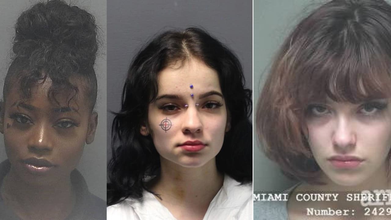 Mugshawtys meme template - Mugshawtys