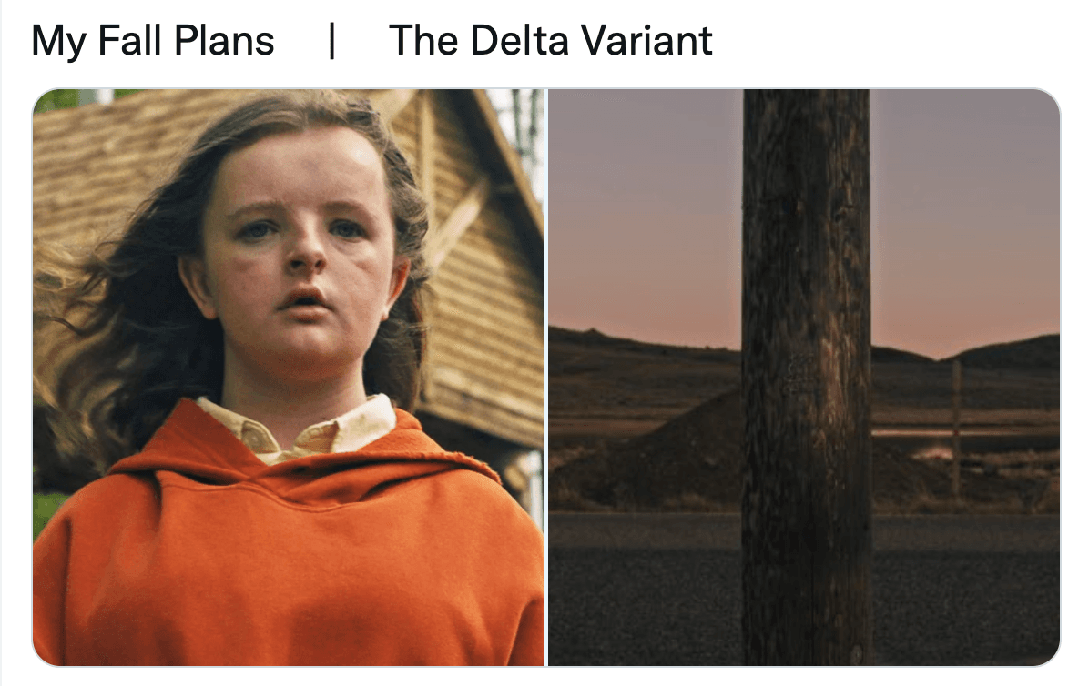 My Fall Plans / Delta Variant meme template - My Fall Plans Delta Variant