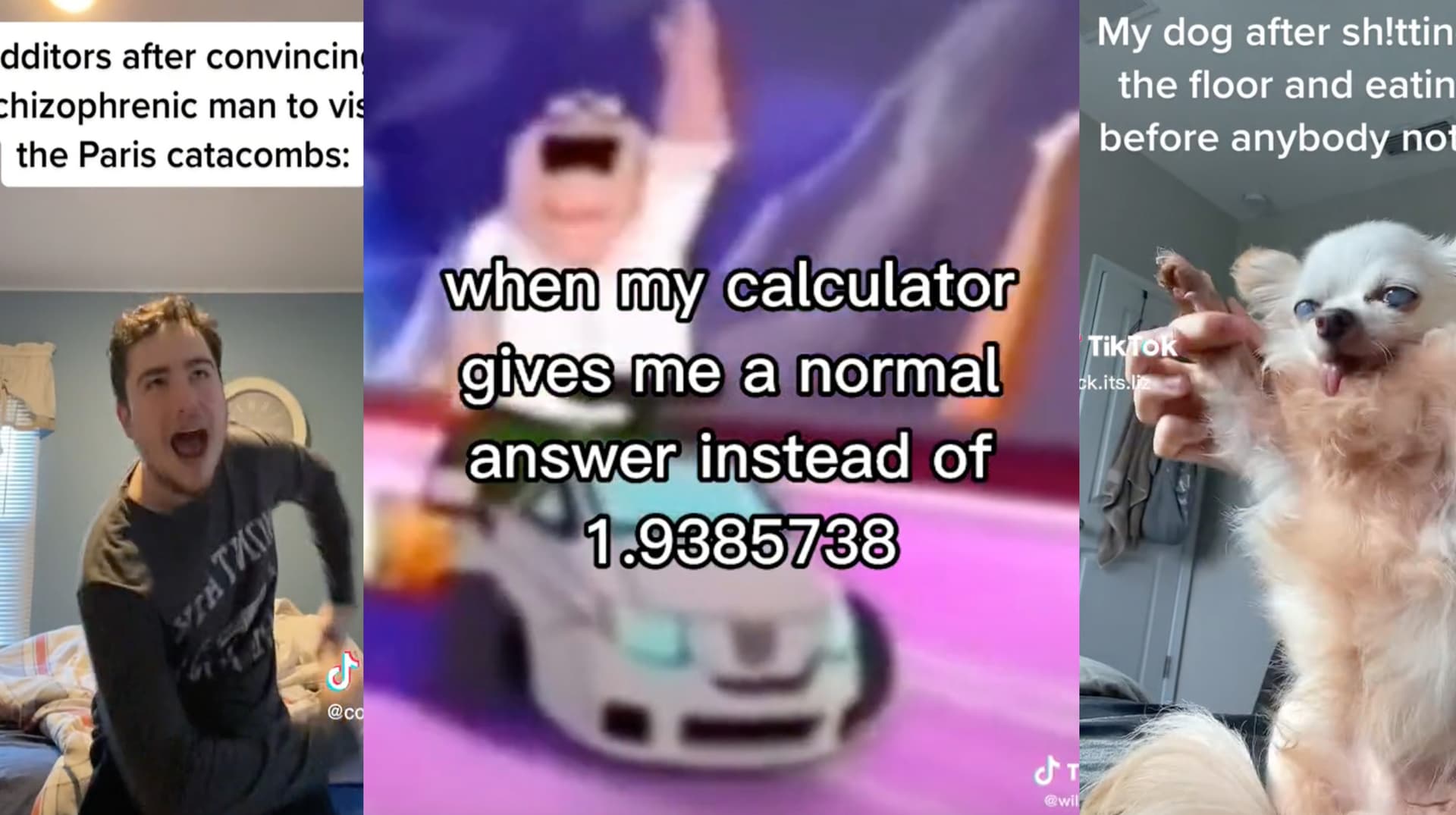 My Happy Song / Happy Happy Happy meme template - My Happy Song