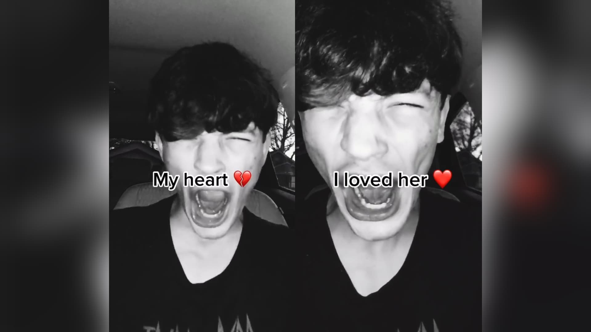 My Heart! I Loved Her! meme template - My Heart I Loved Her