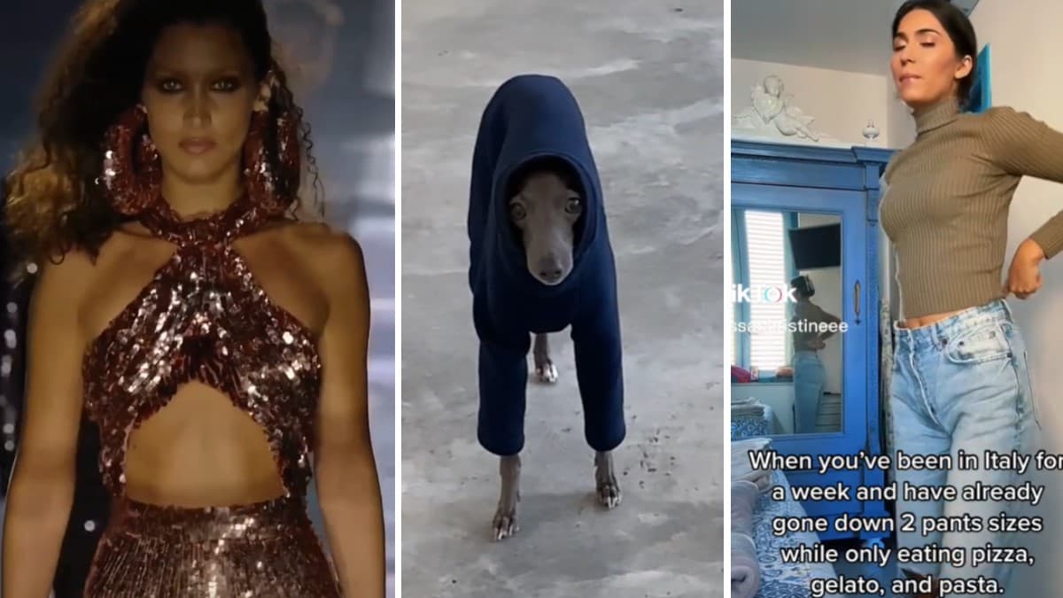 My Name Is Bella Hadid meme template - My Name Is Bella Hadid