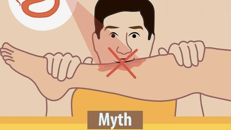 Myth You Can Suck Out the Venom from a Snake Bite meme template - Snake Bite Venom