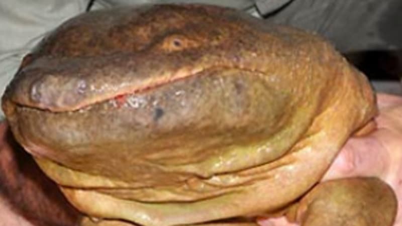 Name Him. Name Your Son. meme template - Name Him. Name Your Son.