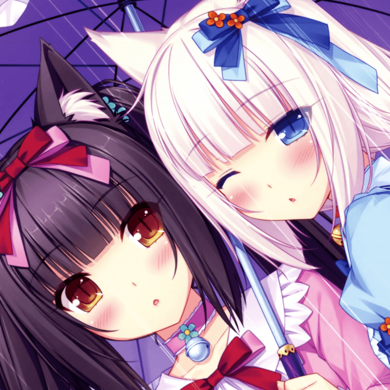 Nekopara meme template - Nekopara