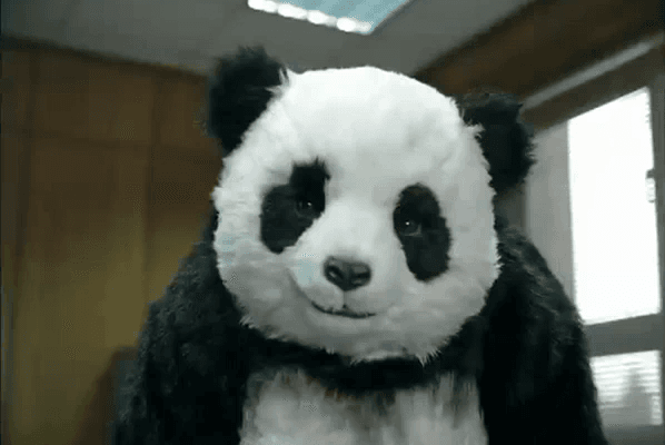 Never Say No to Panda meme template - Never Say No to Panda