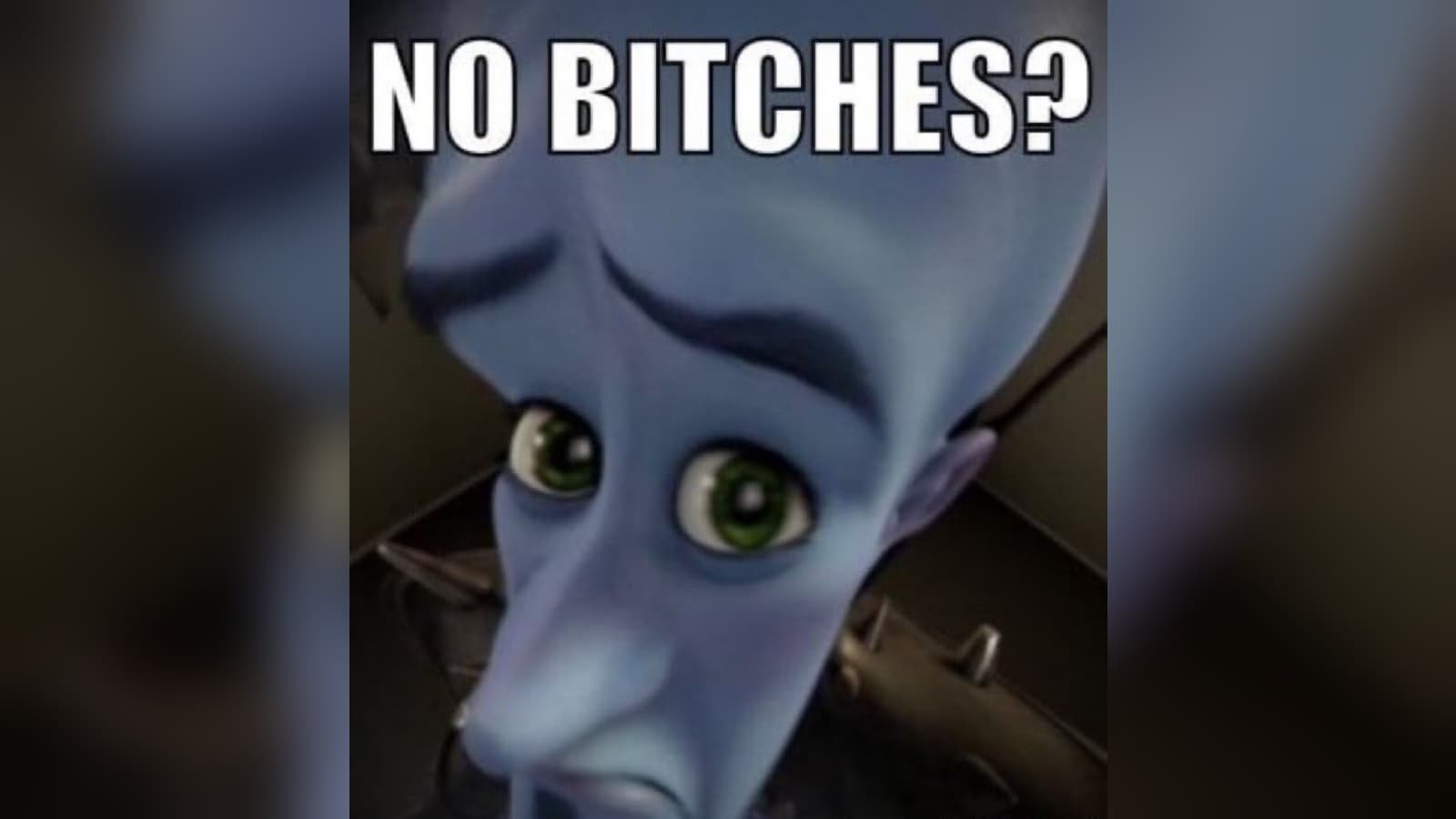 No Bitches? meme template - No Bitches