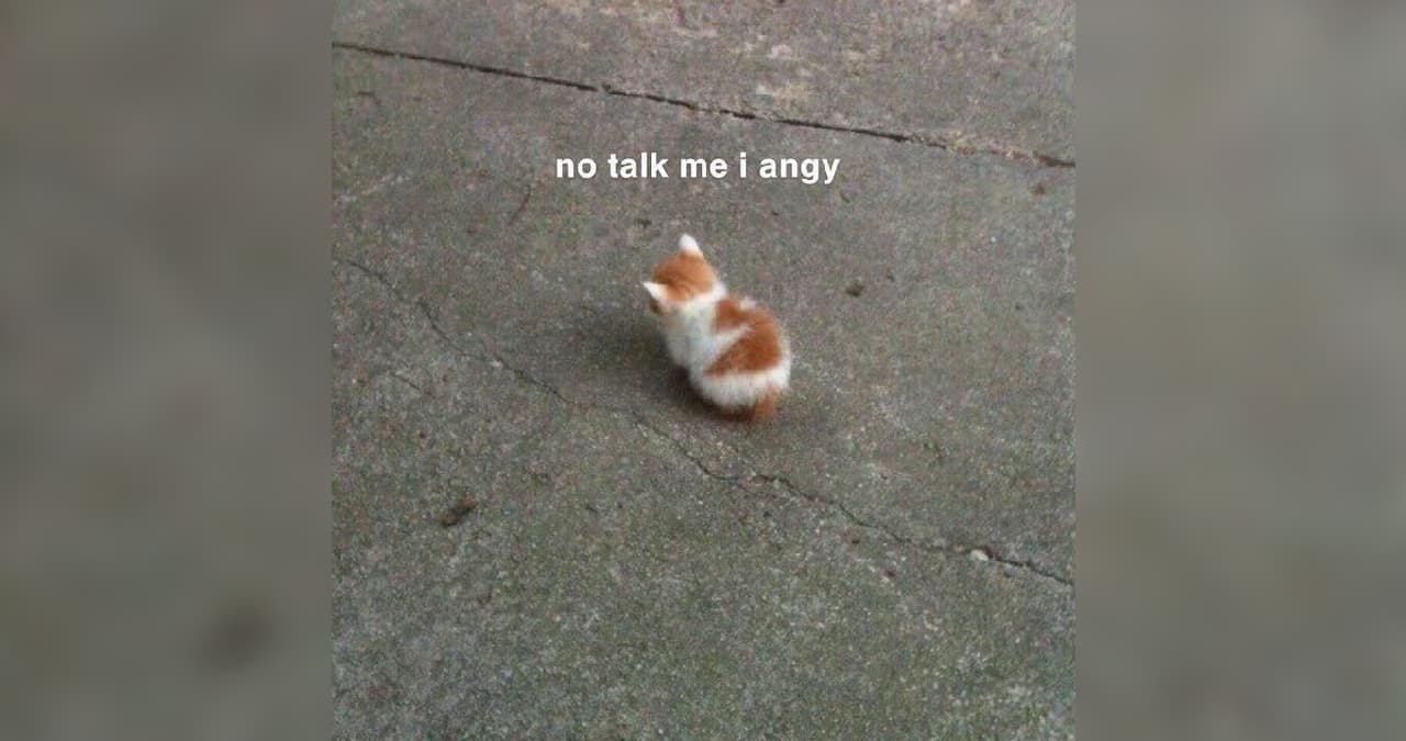 No Talk Me I'm Angy meme template - No Talk Me I'm Angy