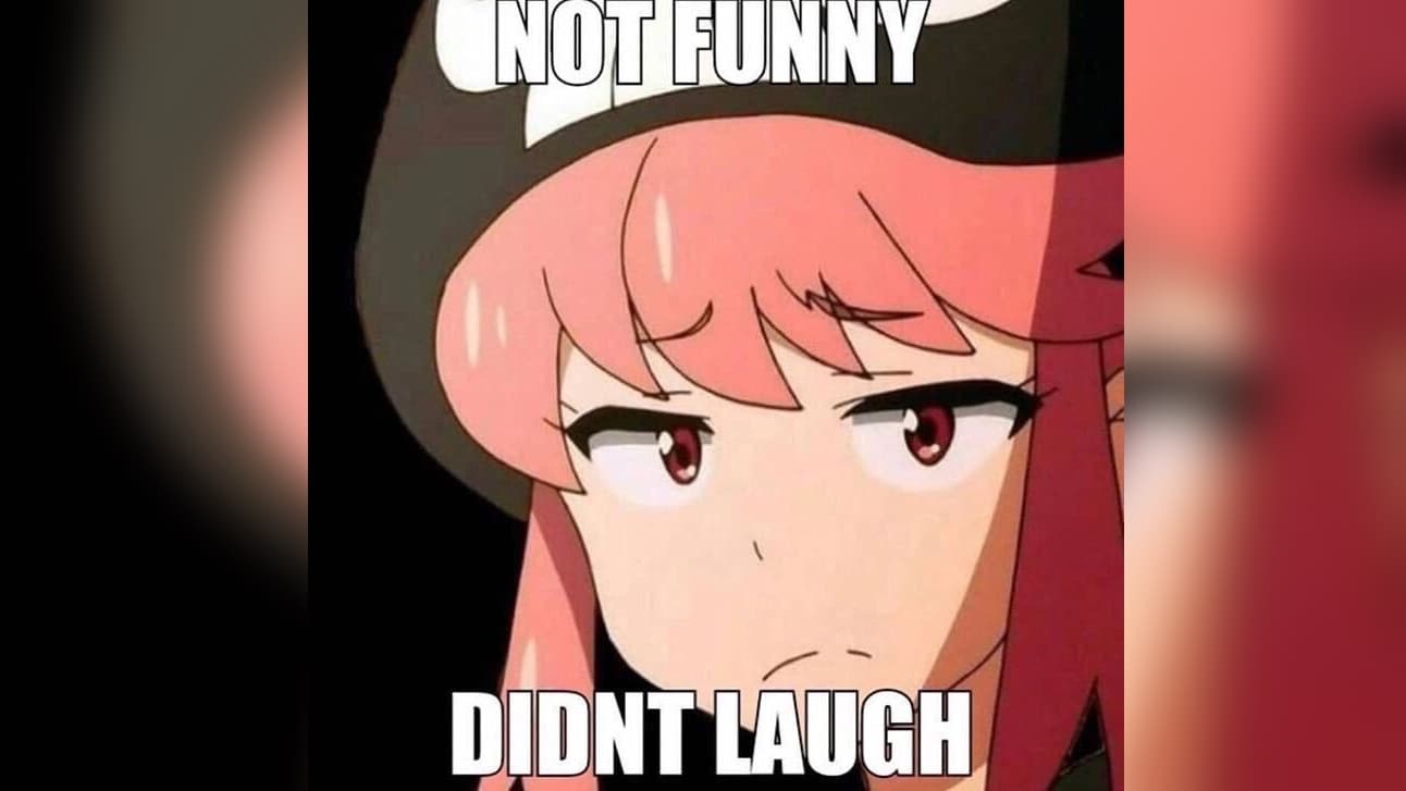 Not Funny, Didn't Laugh meme template - Not Funny Didn't Laugh