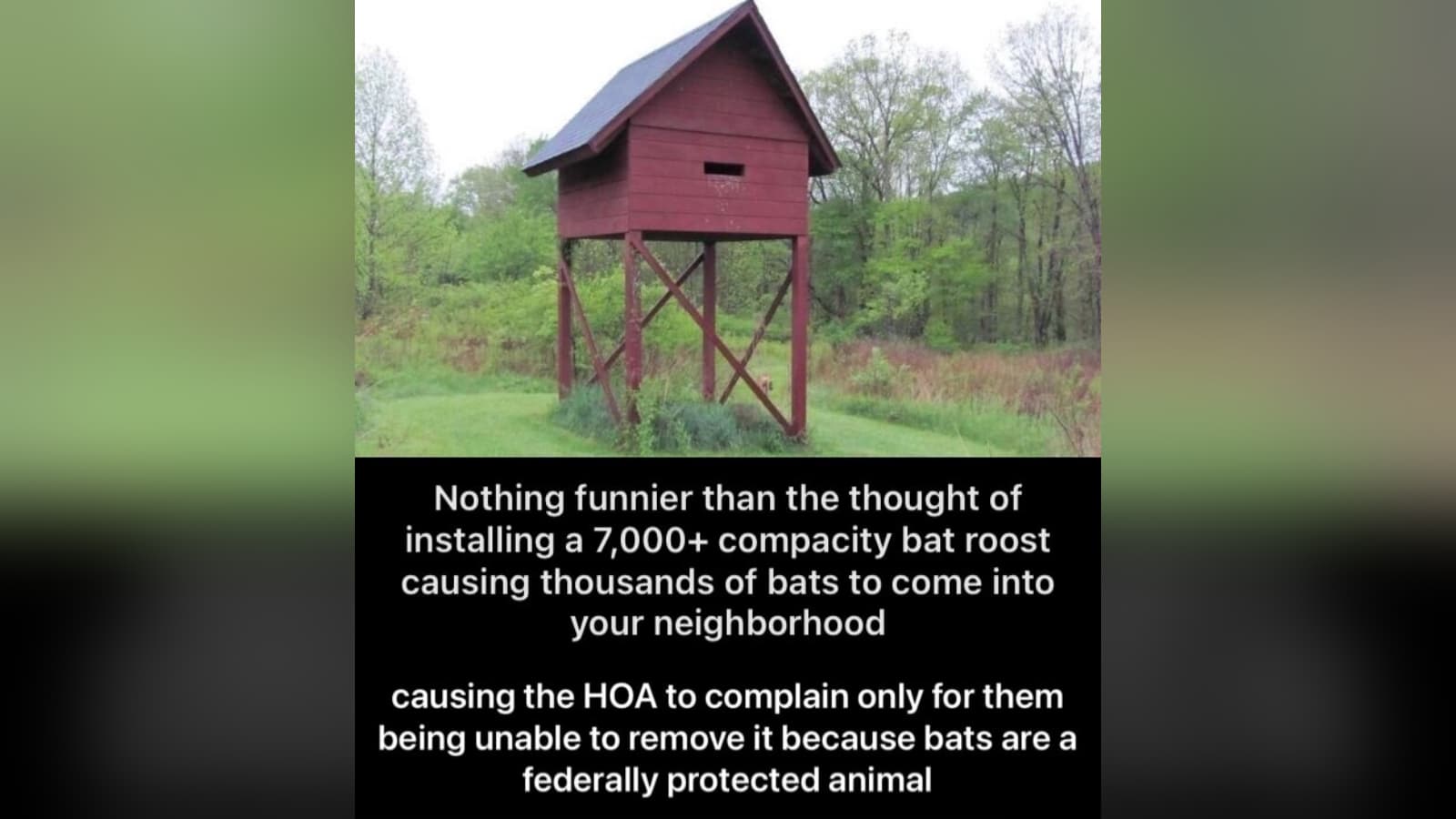 Nothing Funnier Than 7000+ Bats meme template - Nothing Funnier Than 7000+ Bats