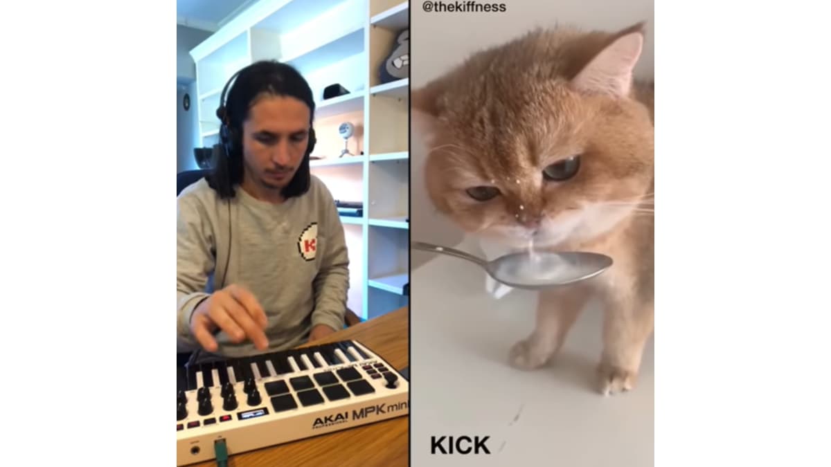 NumNum Cat meme template - NumNum Cat