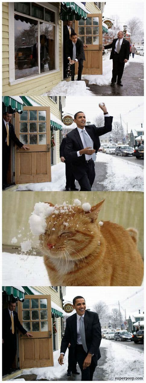 Obama Snowball meme template - Obama Snowball