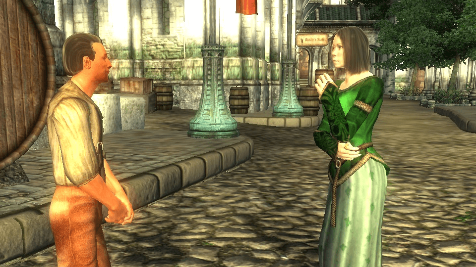 Oblivion NPC Dialogue Parodies meme template - Oblivion NPC