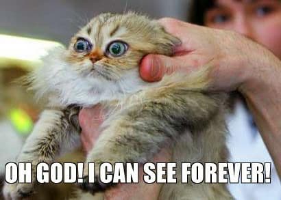 Oh God! I Can See Forever! meme template - Oh God I Can See Forever