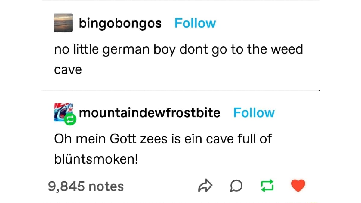 Oh Mein Gott Zees Is Ein Cave Full Of Blüntsmoken! meme template - Oh Mein Gott Cave