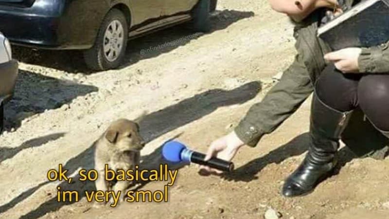 Ok, So Basically Im Very Smol meme template - Ok So Basically Im Very Smol