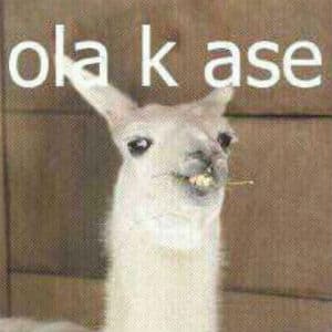 Ola K Ase meme template - Ola K Ase