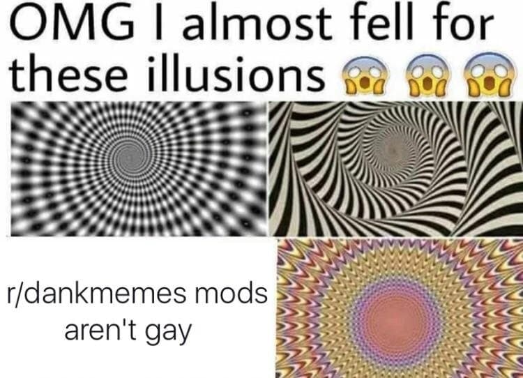 OMG I Almost Fell For These Illusions meme template - OMG I Almost Fell For These Illusions
