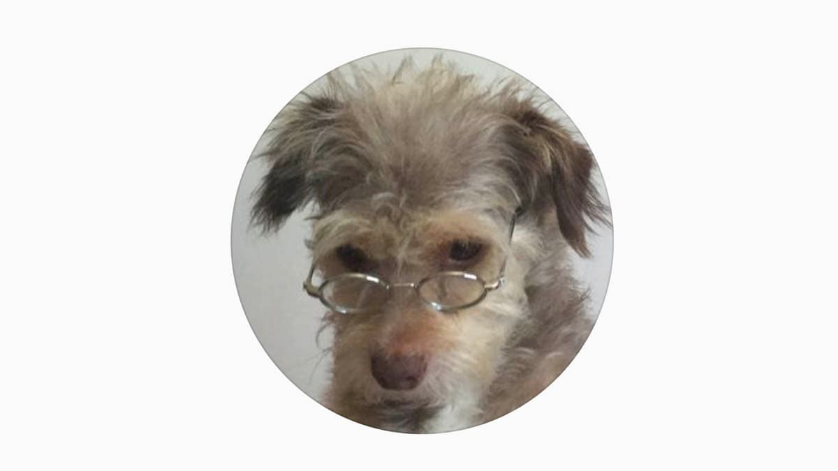 on_a_downward_spiral meme template - On a Downward Spiral