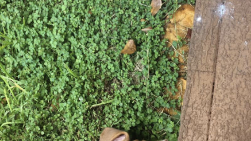 Open for a Surprise meme template - Open for a Surprise