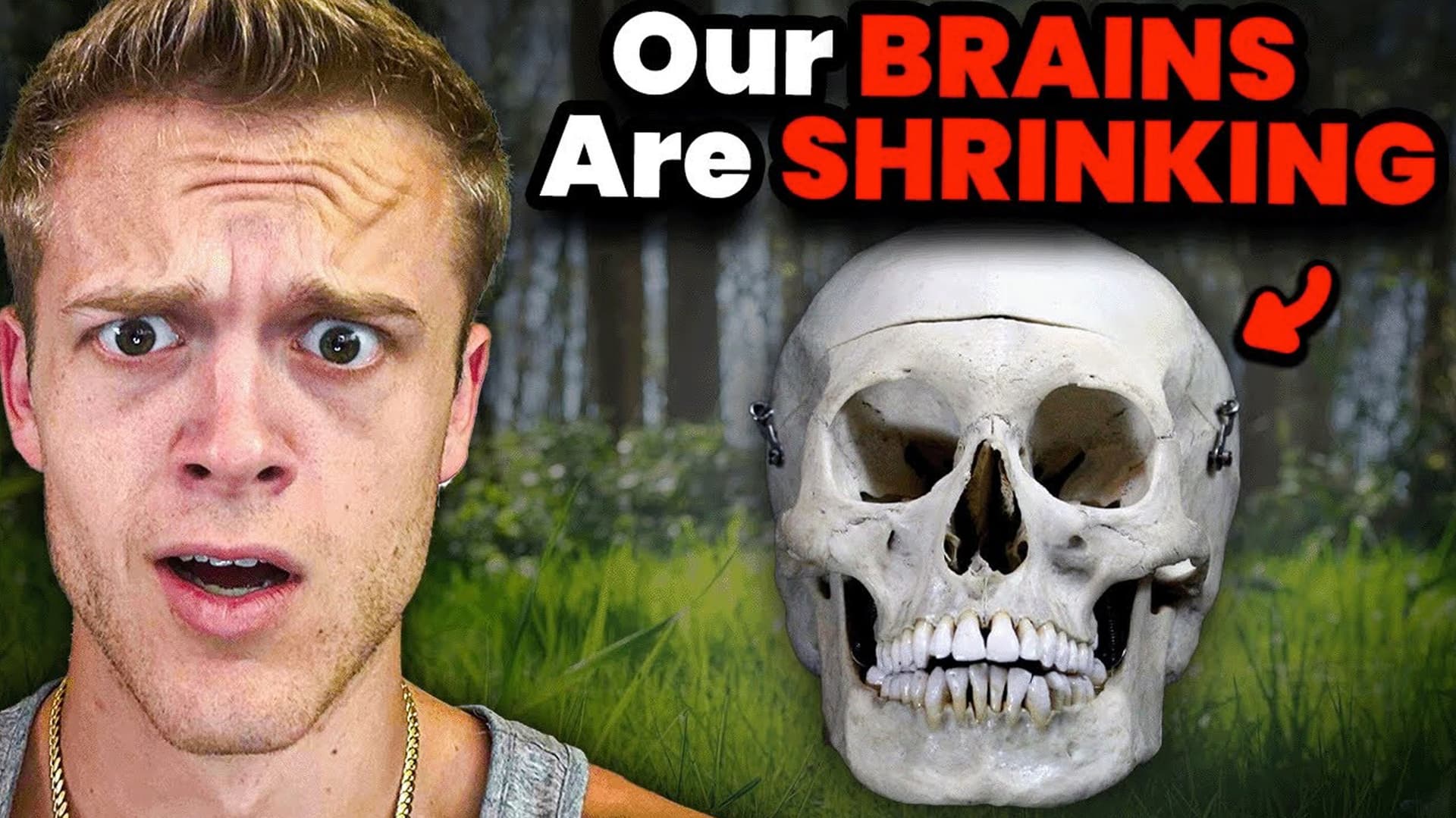 Our Brains Are Shrinking meme template - Our Brains Are Shrinking