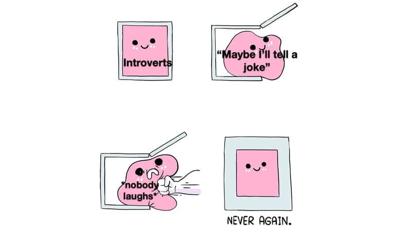 Owlturd Comix "Vulnerable" Parodies / Never Again meme template - Owlturd Comix