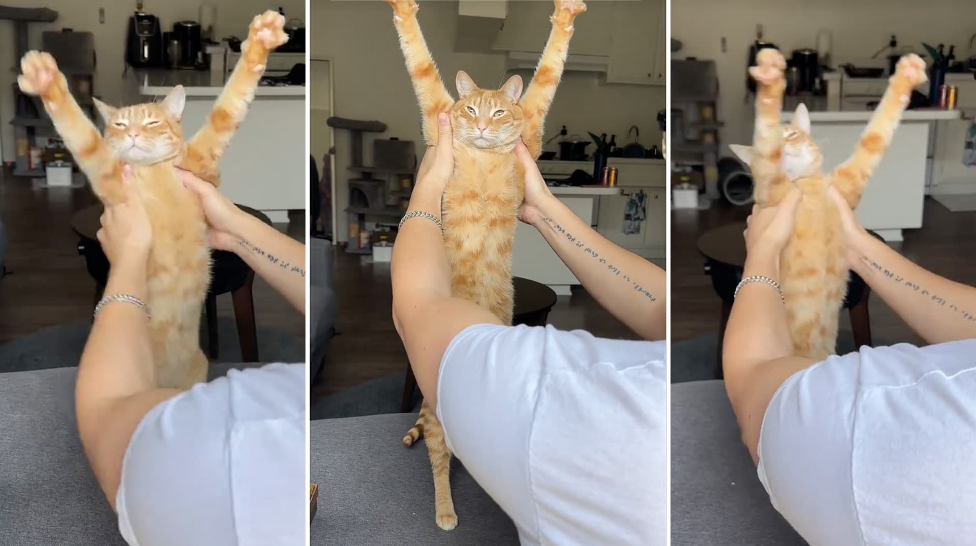 P For Papas, It's a Papas Party meme template - P For Papas