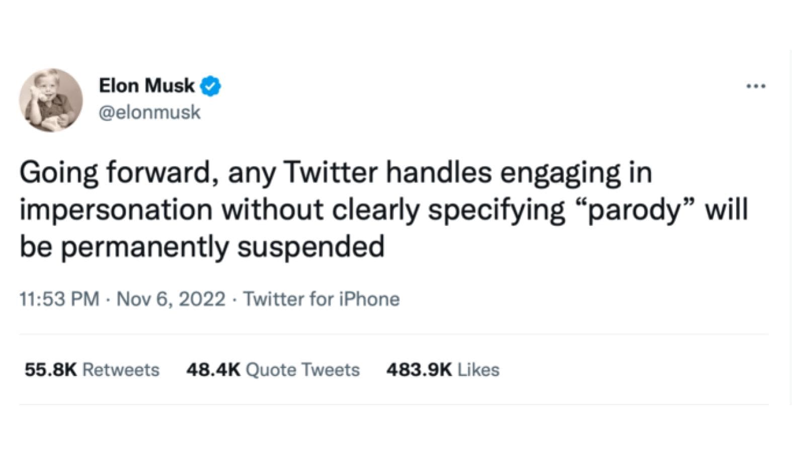 Parody Elon Musk Twitter Accounts meme template - Elon Musk Parody