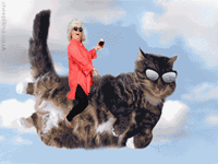Paula Deen Riding Things meme template - Paula Deen Riding Things