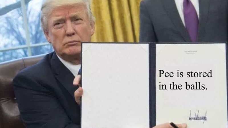 Pee Is Stored in the Balls meme template - Pee Is Stored in the Balls