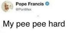 Pee Pee Hard / Why The Fuck My Pee Pee Hard ? meme template - Why The Fuck My Pee Pee Hard