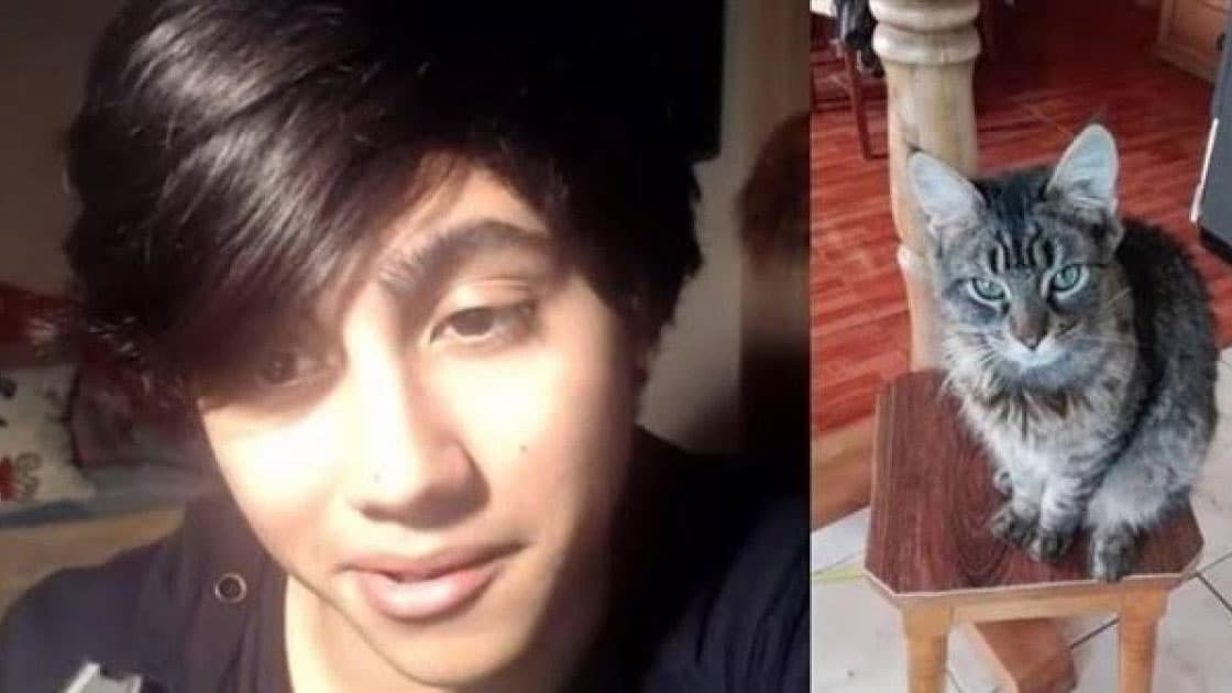 Peluchin Entertainment Animal Abuse Controversy meme template - Peluchin Entertainment