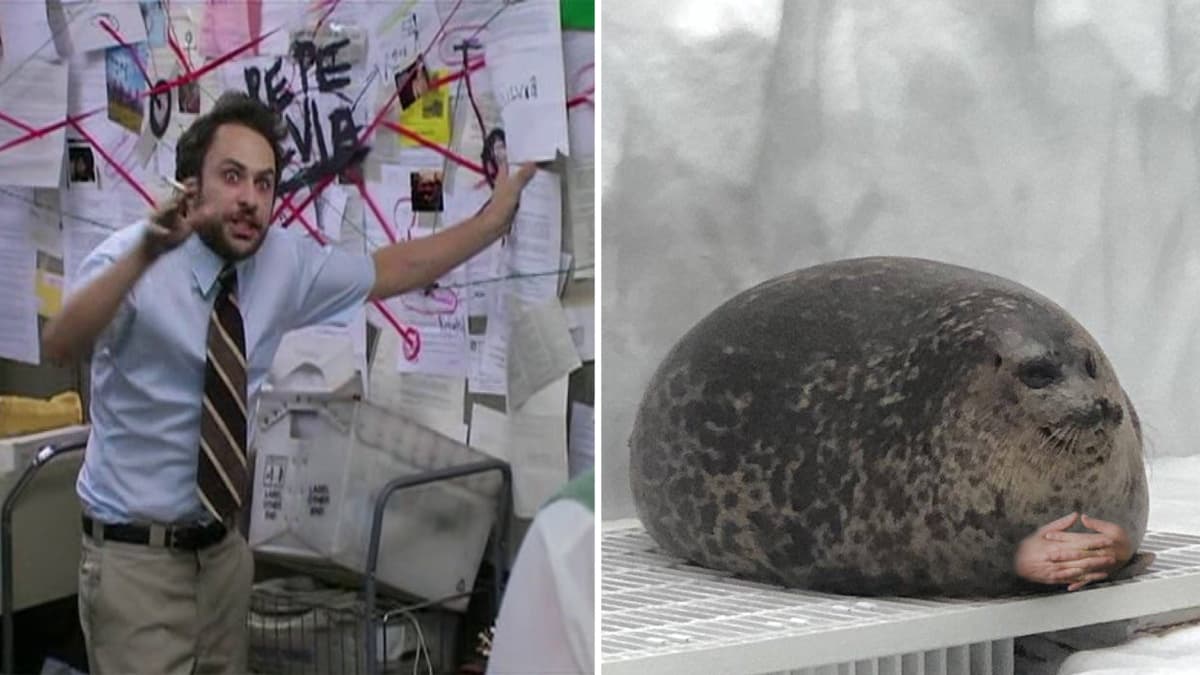 Pepe Silvia Charlie Explaining to a Seal meme template - Pepe Silvia