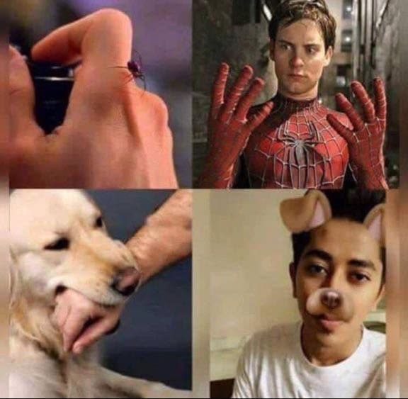 Peter Parker's Spider Bite meme template - Peter Parker Spider Bite