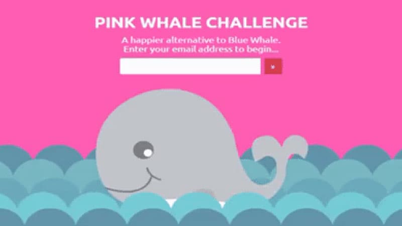 Pink Whale Challenge meme template - Pink Whale Challenge