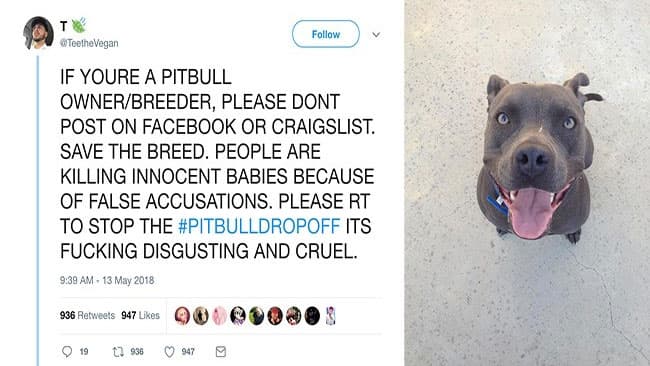 #PitBullDropOff meme template - PitBullDropOff
