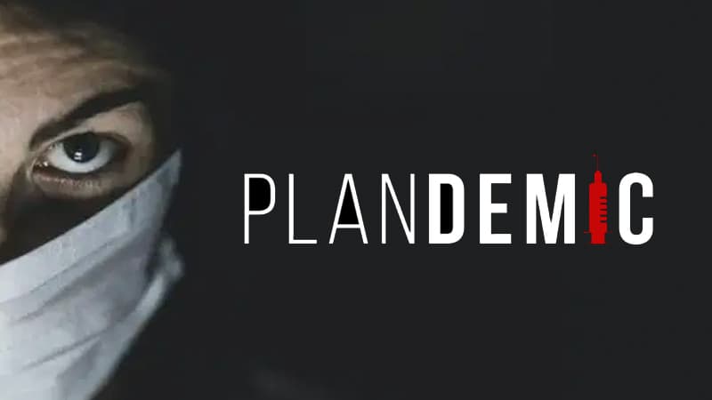 Plandemic meme template - Plandemic