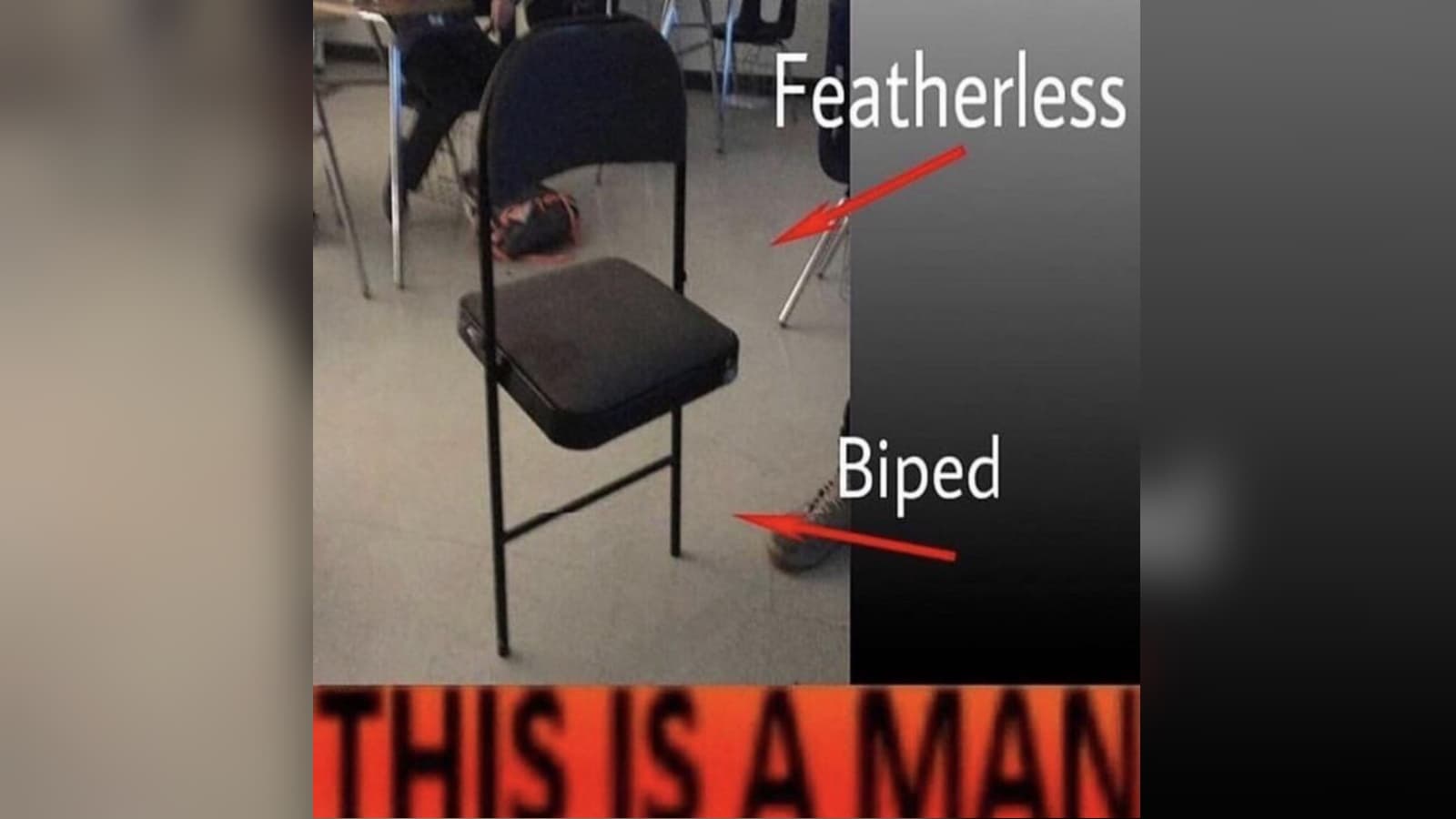 Plato's Man / Featherless Biped meme template - Plato's Man