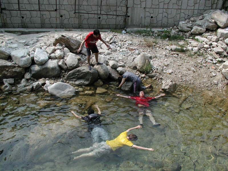 Playing Dead meme template - Playing Dead