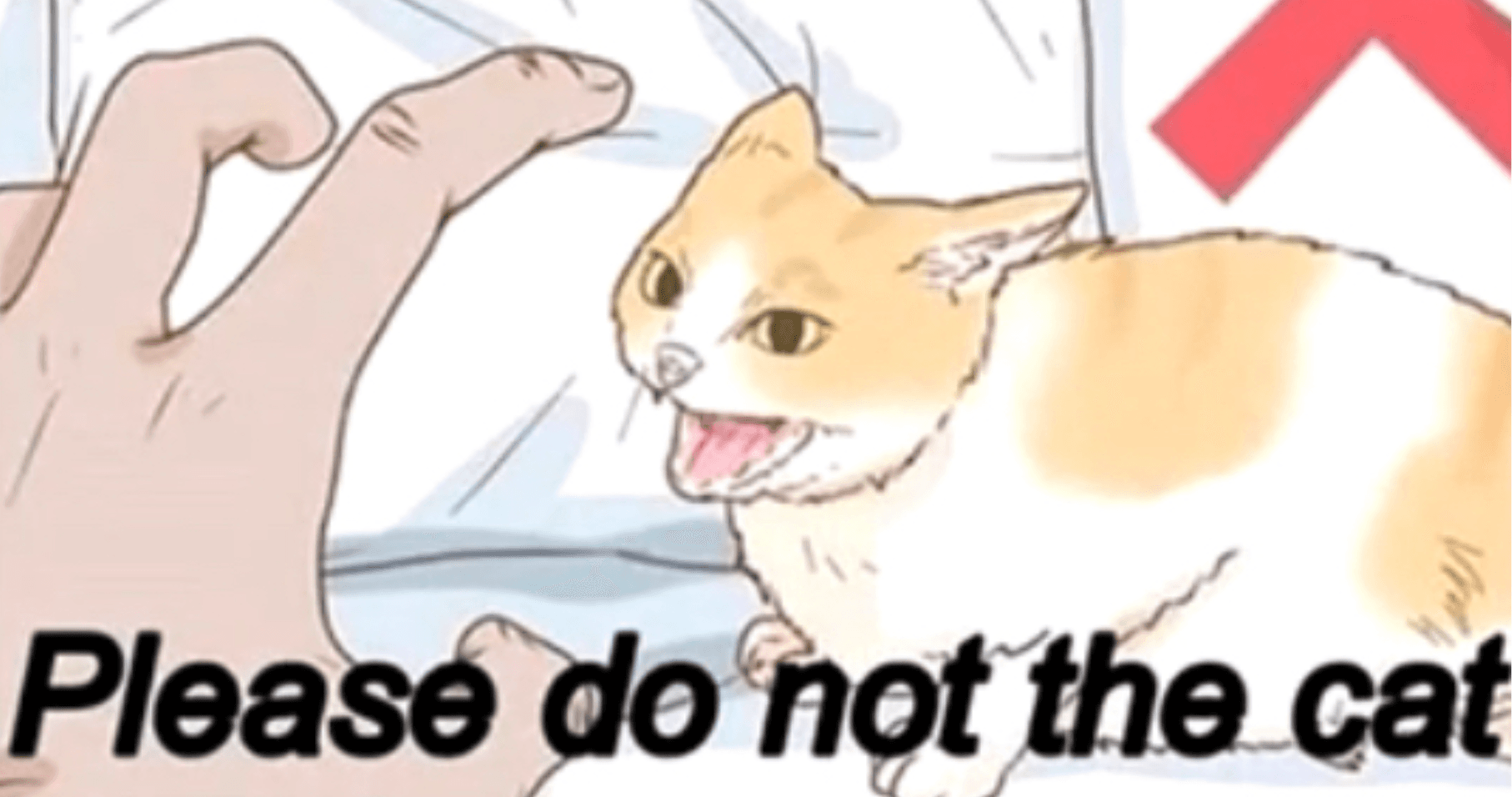 Please Do Not The Cat meme template - Please Do Not The Cat