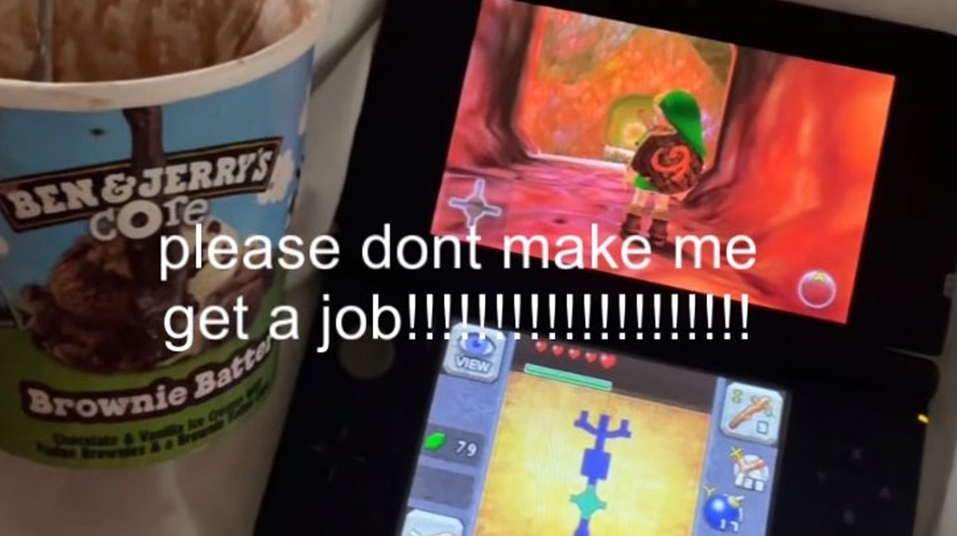 Please Don't Make Me Get a Job!!!!!!!! meme template - Please Don't Make Me Get a Job