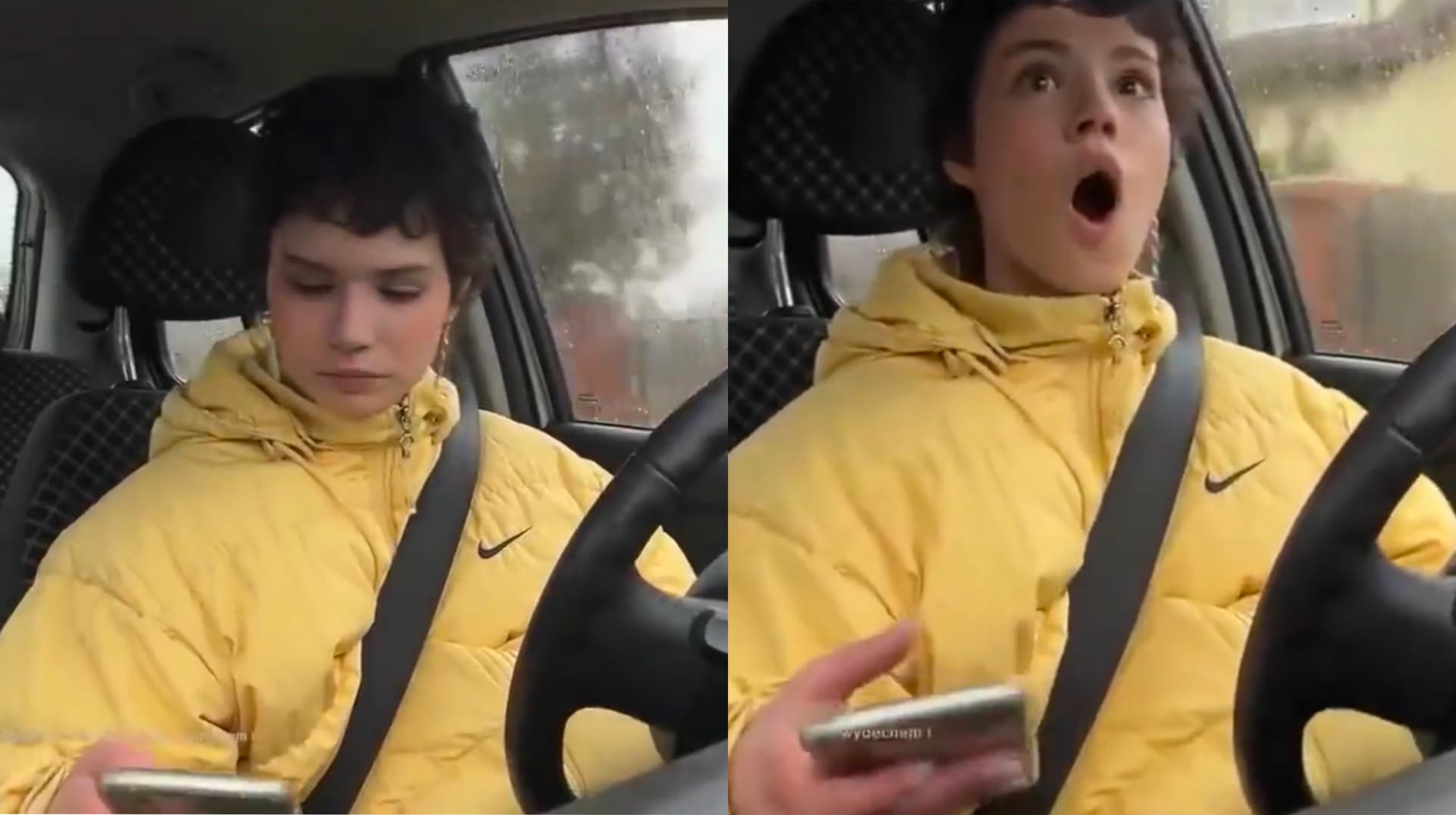 Polish Streamer Sidneuke Distracted Driving Dog Hit Controversy meme template - Sidneuke