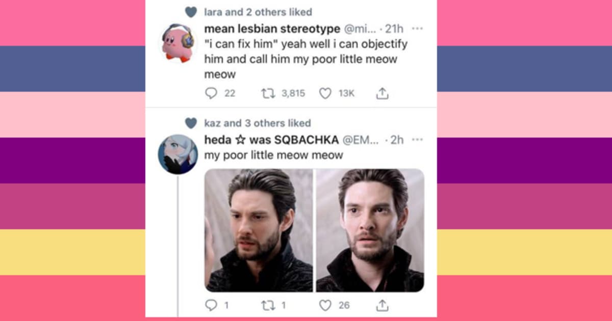 Poor Little Meow Meow meme template - Poor Little Meow Meow