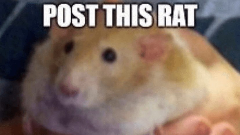 Post This X meme template - Post This X