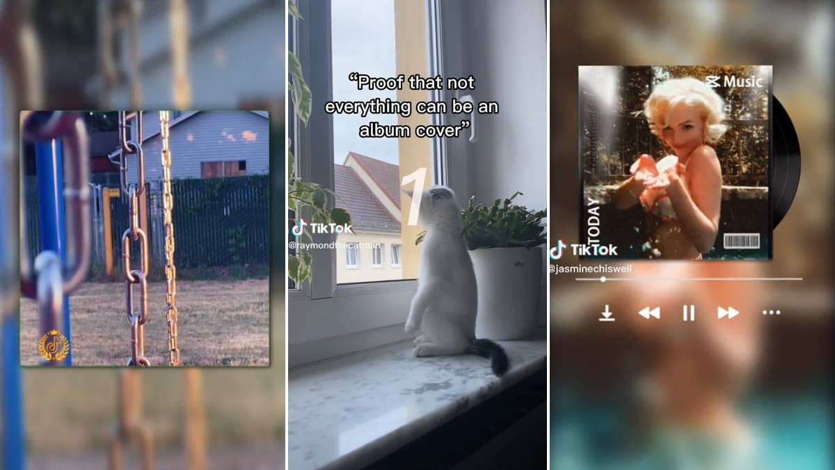 Proof That Not Everything Can Be An Album Cover meme template - Proof That Not Everything Can Be An Album Cover